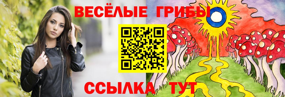 где продают наркотики  Вход с VPN  Арзамас  Галлюциногенные грибы Cubensis  Галлюциногенные грибы Magic Shrooms 